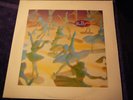 Belly LP  Star  Original 1993 Vinyl 12
