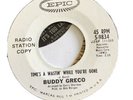 Northern Dancer - Buddy Greco - Times A Wastin While Youre Gone - Epic USA Org