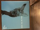 THE RISING TIDE Sunny Day Real Estate Green LP Vinyl 2000 Release