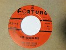 Doctor Ross-Cat Squirrel b/w The Sunnyland- blues- Fortune #857- 7