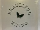 The Stone Roses - Beautiful Thing 12” Vinyl One Sided Single 2016 - CHEAPEST NOW