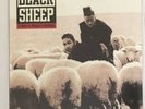 Black Sheep “A Wolf In Sheep’s Clothing” Vinyl 2LP 180gram