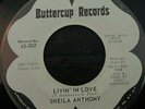 NORTHERN SOUL 45...SHEILA   ANTHONY...LIVIN' IN LOVE...BUTTERCUP...VG+