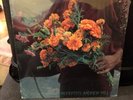 Hill, Andrew	 “Neffertiti”. (Inner City IC 6022)  - FACTORY SEALED VINYL