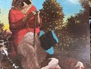 J.J. Cale - Naturally Lp - First Press - Winchester - Superman Shelter Logo NM