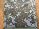 The Caretaker - Everywhere At The End Of Time Stage 3 - Vinyl - Ambient