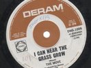 THE MOVE  Rare 1967 Aust Only 7