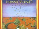 HAWKWIND (180G)