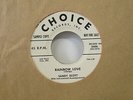 Sandy Scott-Rainbow Love/Shake It Up-Promo-Rockabilly-7