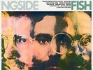 DARLINGSIDE-FISH POND FISH (US IMPORT) VINYL LP NEW