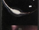 FRANK STRAZZERI: After The Rain LP (gatefold, 2 small tags on cover, cut corner