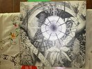 THEE OH SEES - Dog Poison LP CASTLEFACE New Sealed Butterscotch Apple 12