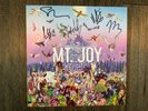 Mt. Joy - Rearrange Us LP - Limited Edition Clear Vinyl - Autographed
