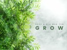 BCee & Blu Mar Ten - Grow / Vinyl 12