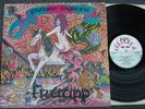 FRUUPP FUTURE LEGENDS Original UK DAWN 1973 GATEFOLD TEXTURED SLEEVE Prog Folk