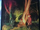 Echo And The Bunnymen, Crocodiles vinyl LP,