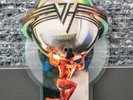 Eddie VAN HALEN Why Can't This Be Love Shaped Vinyl Picture Disc David Lee Roth