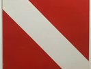 ORIGINAL Vtg 1982 VAN HALEN Album DIVER DOWN Vinyl RECORD w Liner Lp NEAR MINT