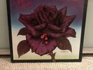 Thin Lizzy Black Rose 1979 LP Vinyl VG w/inner sleeve (Aus 1st Press) 6360 169