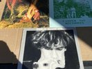 3Rock Lps Crocodiles Camper Van Beethoven Public Image LTD 2nd Edition Plus More