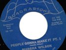 Marsha Wilson People Gonna Make It Unknown & Unlisted Funk 45 Listen to disc