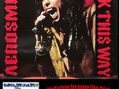 Aerosmith - Rock This Way - live double album red vinyl