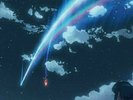LP Kimi no Na wa Vinyl RADWIMPS 12 inch Limited Edition Analog d318