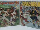 Lot(2) BOSTON RED SOX and BRUINS VINYL LP RECORDs Vintage 1970 1975 play by play