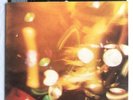 THE BEATLES -Seventh Christmas Record- Rare 1969 Fan Club Flexi (Record)