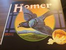 LP HOMER Schallplatte PROGRESSIVE ROCK Unofficial RELEASE Vinyl Rarität