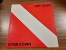 VAN HALEN*DIVER DOWN*VINYL LP EX/EX WARNER BROS BSK-3677 {1982}???