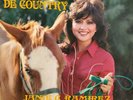 “Tejano Tex-Mex