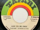 Tafari Syndicates - Got to Be Free / Recession Dub - Tafari All Stars - Tafari