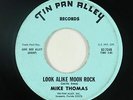 Psych 45 - Mike Thomas - Look Alike Moon Rock - Tin Pan Alley - mp3 - obscure
