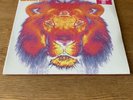 The Black Crowes - Lions 2x180g Coloured Vinyl RSD2020 Rare US Import Sealed