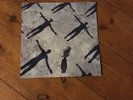 muse absolution vinyl First Press