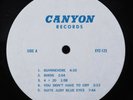 CROSBY STILLS NASH & YOUNG Wooden Nickel CANYON LP VG+ **