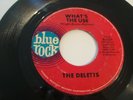 DELETTS- BLUE ROCK 45 RPM- ORIGINAL PRESS- WHAT'S THE USE/ LOOK AT ME - LISTEN