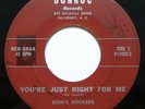 NC Rockabilly 45 rpm DON'S ROCKERS You're Just Right For Me DONROC 245 Orig VG