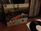 spring rca lp White Label Lp Neon