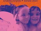 Smashing Pumpkins - Siamese Dream Vinyl