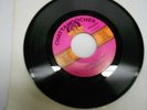 THE MURMAIDS POPSICLES AND ICICLES/BLUE DRESS 45 RPM record  NEW VINYL