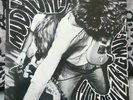 original MUDHONEY 
