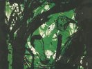 BUFFALO TOM - Birdbrain (30th Anniversary Edition) - Vinyl (LP)