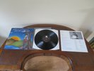 The Waterboys - Dream Harder LP - Nr Mint FIRST Europe Press Vinyl - World Ship