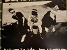 Beastie Boys, Check Your Head Double Vinyl. UK First Pressing Record Mint Slight