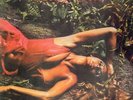 Roxy Music Stranded NEAR MINT Polydor Vinyl LP