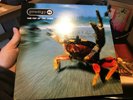 Prodigy - The Fat of the Land UK LP (1st press Unplayed and mint )