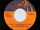 70s Soul 45 - Dynamic Upsetters - I Want A Man To Shag With Me - CPI - VG+ mp3