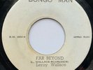Leroy Wallace - Far Beyond / Far Beyond Ver - The New Establishment - Bongo Man